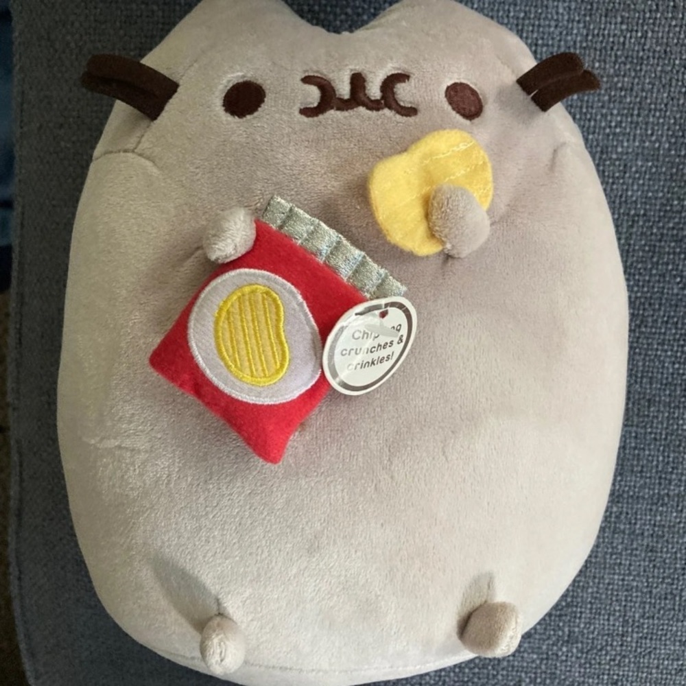 Pusheen Chips Plush